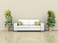 Sofa with plants